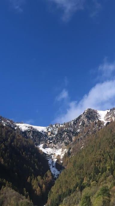 Il Sole Di Ester Branzi Dış mekan fotoğraf